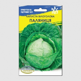 «Loaf» - Organic Cabbage Seeds