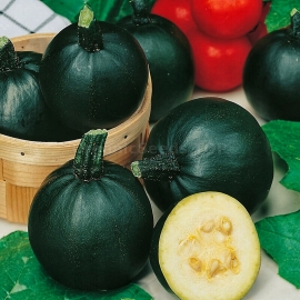 «Rolet» - Organic Pumpkin Seeds
