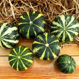 Фото «Flat Striped» - Organic Pumpkin Seeds