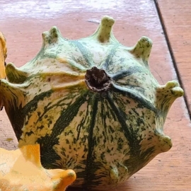«Crown» - Organic Pumpkin Seeds