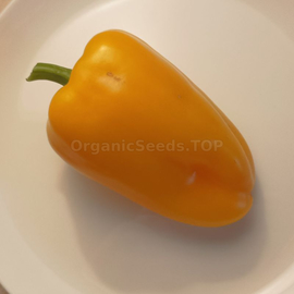 «Ukrainian sweet orange» - Organic Pepper Seeds