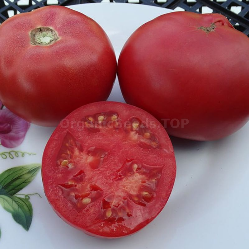 Beefsteak Tomato - Victory Seeds® – Victory Seed Company