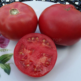 «Arkansas traveler» - Organic Tomato Seeds