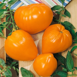 «Bull heart orange» - Organic Tomato Seeds