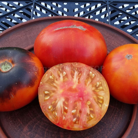 «Blue Jollies» - Organic Tomato Seeds