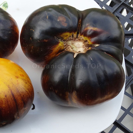 «Purple Sunrise» - Organic Tomato Seeds