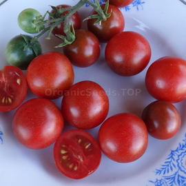 Фото «Cappuccino» - Organic Tomato Seeds
