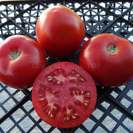 Фото «Hirten Tomate» - Organic Tomato Seeds