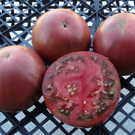 «Indian Dark Violet Beefsteak» - Organic Tomato Seeds