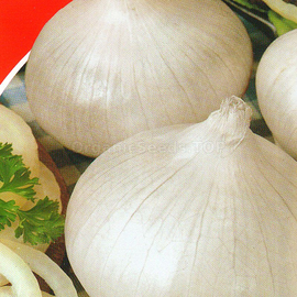 Фото «Ali-Baba» - Organic Onion seeds