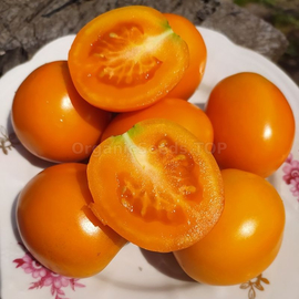 «Roughwood Golden Plum» - Organic Tomato Seeds