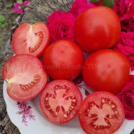 «Bendrick's plum red round» - Organic Tomato Seeds