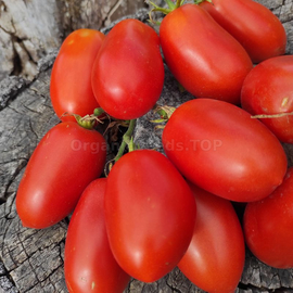 «Bendrik's plum red» - Organic Tomato Seeds