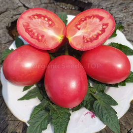 «Pink Fresh» - Organic Tomato Seeds