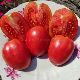 «Dwarf Melanie's Ballet» - Organic Tomato Seeds