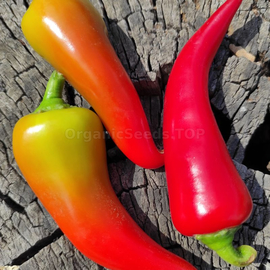 «Vatra» - Organic Pepper Seeds