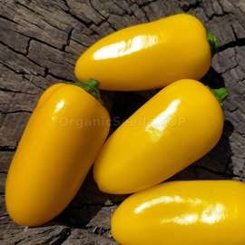 «Jalapeno Lemon Spice Giant №1» - Organic Pepper Seeds