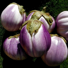 Фото «Rosa Bianca di Catania» - Organic Eggplant Seeds