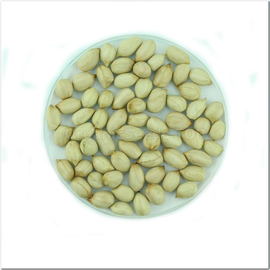 «Argentine white» - Organic Peanut Seeds