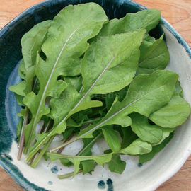 Organic Broadleaf Arugula Seeds