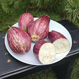 Фото «Striped Voyage» - Organic Eggplant Seeds