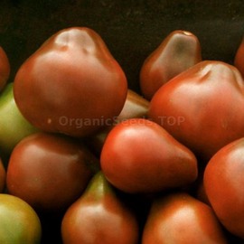 «Bedouin» - Organic Tomato Seeds