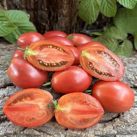«Marigolds» - Organic Tomato Seeds
