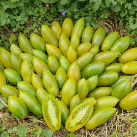 «Emerald Icicle» - Organic Tomato Seeds