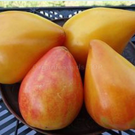 «Vasha Velychnist' + Grandma Viney's Yellow and Pink» - Organic Tomato Seeds