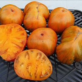 «Honey Amber» - Organic Tomato Seeds