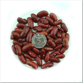 «Tomatka» - Organic Bean Seeds