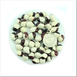 «Yin Yang» - Organic Bean Seeds
