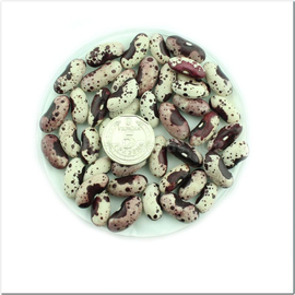 «Butterfly» - Organic Bean Seeds