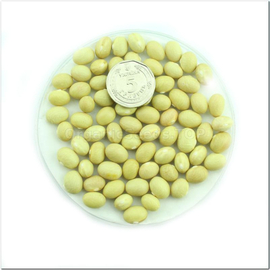 «Lemon Bomb» - Organic Bean Seeds