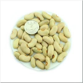 «Cream» - Organic Bean Seeds