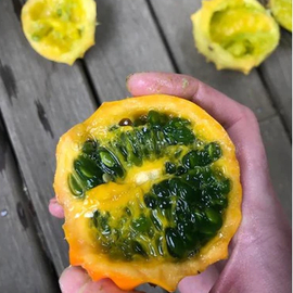 «Rund» - Organic Kiwano Seeds