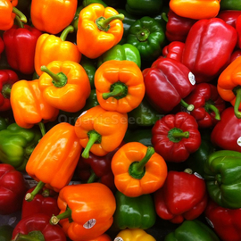 «Sweet Rainbow» - Organic Pepper Seeds