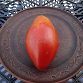 «Perito Italian» - Organic Tomato Seeds
