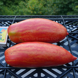 «Fuego Rosa» - Organic Tomato Seeds