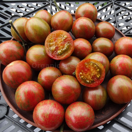 «Magic Nut» - Organic Tomato Seeds