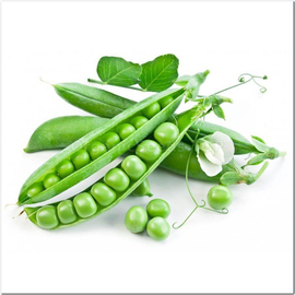 «Barkhat» - Organic Pea Seeds