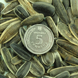 «Striped delicacy» - Organic Sunflower Seed