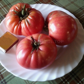 «Japanese Pink Crab» - Organic Tomato Seeds