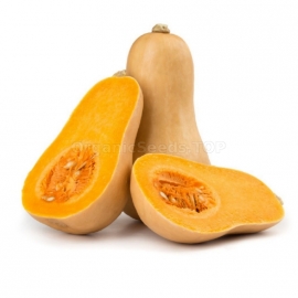 «Arabat» - Organic Pumpkin Seeds