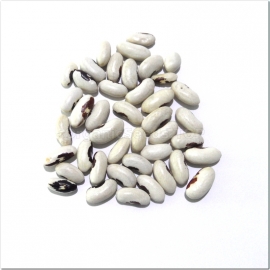 «Swallow» - Organic Bean Seeds