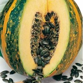 «Golosemyannaya» - Organic Pumpkin Seeds