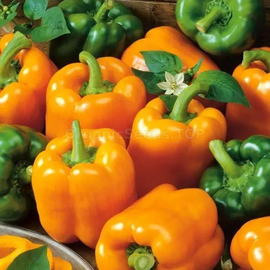 «Californian miracle orange» - Organic Pepper Seeds