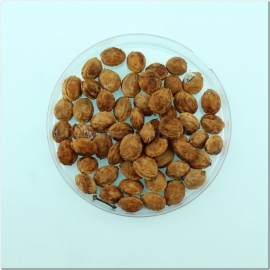 Click to enlarge image