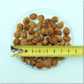 Click to enlarge image