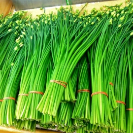 «Rezanec» - Organic Chinese Leek Seeds